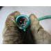 07D324 Oxygen sensor O2 From 2003 FORD TAURUS  3.0